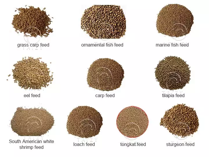 Various fish feed pellets