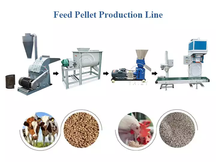 Animal feed pellet plant for cattle, chicken feed production
